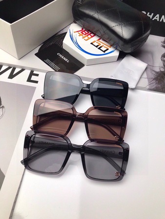 Chane* TR90 Polarized Sunglasses 3 Colors